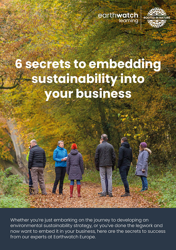 6 secrets to embedding sustainability into your business